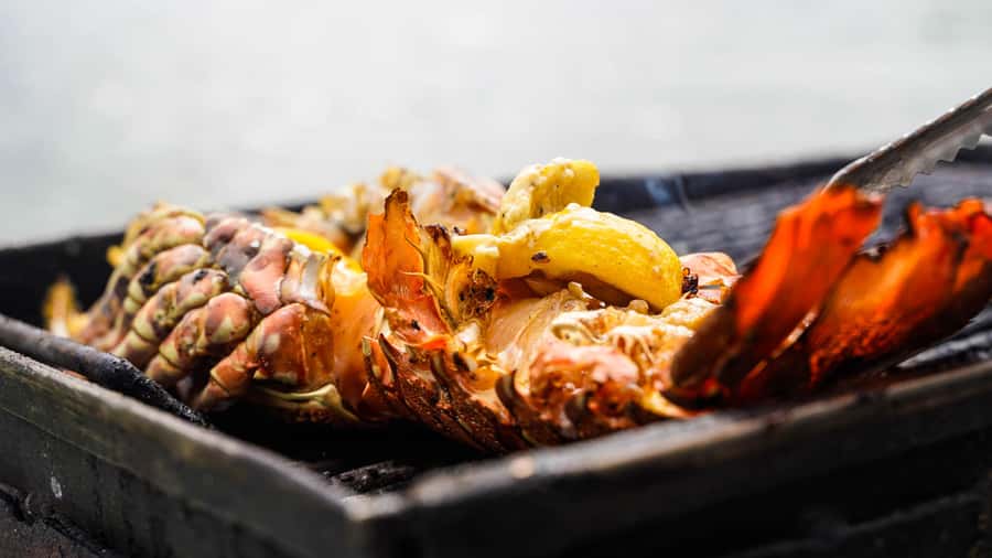 Mauritius: Catamaran Cruise to Ile Aux Cerfs with BBQ Lunch - Why Ile aux Cerfs by catamaran works so well