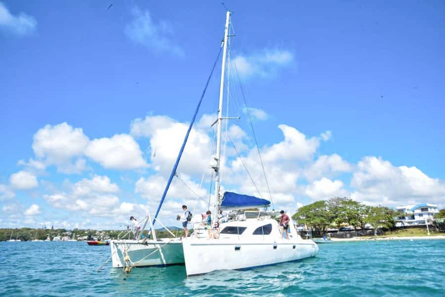 Mauritius: Catamaran Cruise to Ile Aux Cerfs with BBQ Lunch - Ile aux Cerfs beach time: palms, lagoon swims, and souvenirs