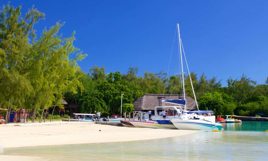 Mauritius: Catamaran Cruise to Ile Aux Cerfs with BBQ Lunch - Who should book this cruise (and who should think twice)