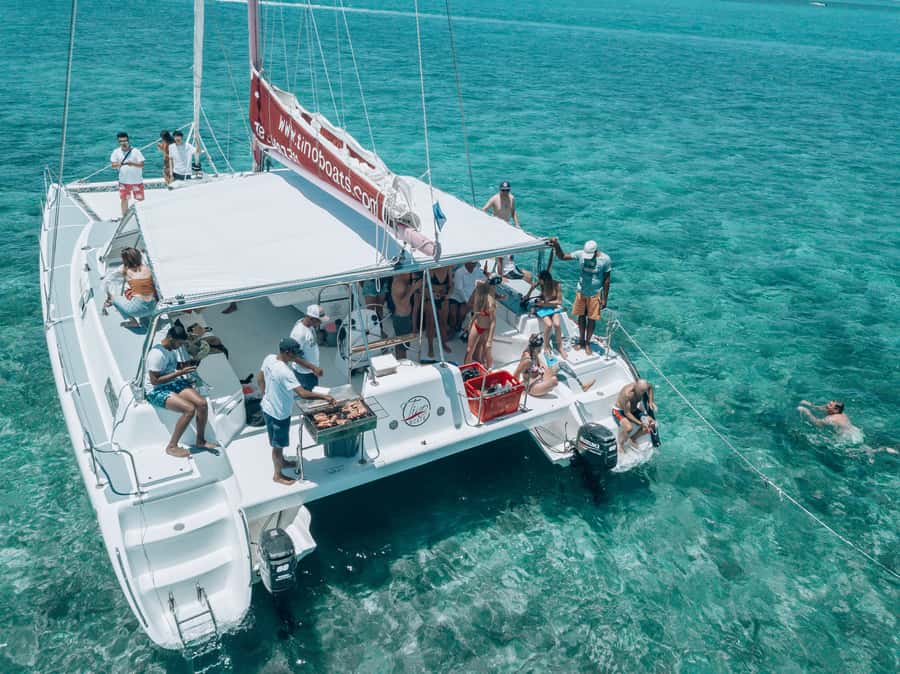Mauritius: Catamaran Day Cruise to lle aux Cerfs with Lunch - GRSE waterfalls: a quick photo stop with real wildlife odds