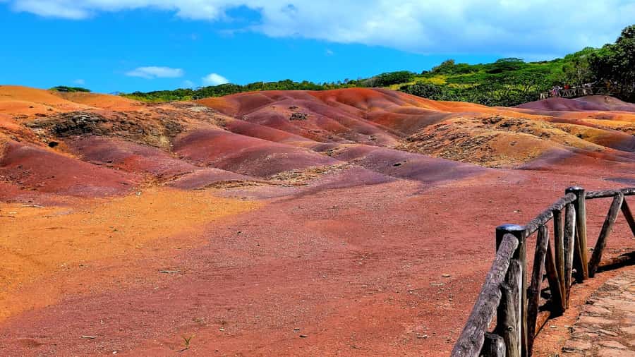 Mauritius: Chamarel 7 Colours & Waterfalls, South-West Tour - Mare aux Vacoas and the Sacred Lake of Grand Bassin (Ganga Talao)