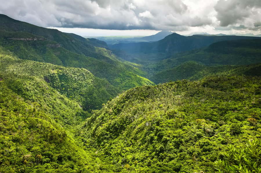 Mauritius: Exclusive South West Tour - Alexandra Falls: the waterfall encounter you’ll actually remember