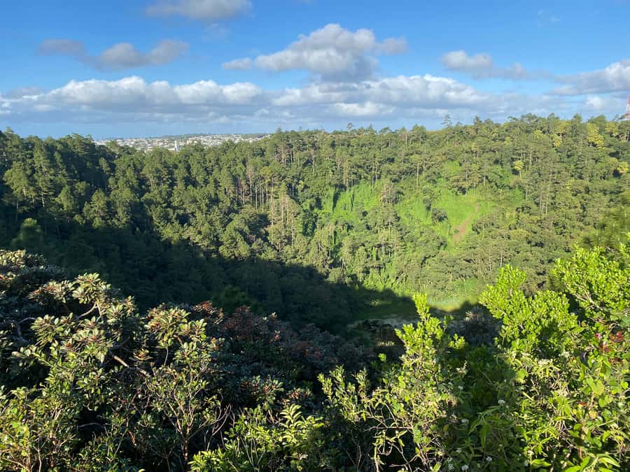 Mauritius: Exclusive South West Tour - Black River Gorges from Plaine Champagne: a natural reserve viewpoint stop