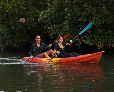 Mauritius: Guided Kayak Tour on Tamarin River - Paddling Upstream Through Two River Arms and Mountain Views