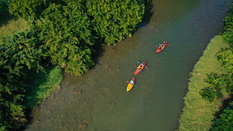 Mauritius: Guided Kayak Tour on Tamarin River - Time on Water: Why 90 Minutes Can Stretch a Bit