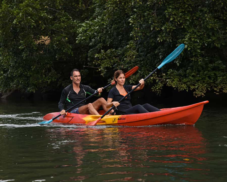 Mauritius: Guided Kayak Tour on Tamarin River - Paddling Upstream Through Two River Arms and Mountain Views