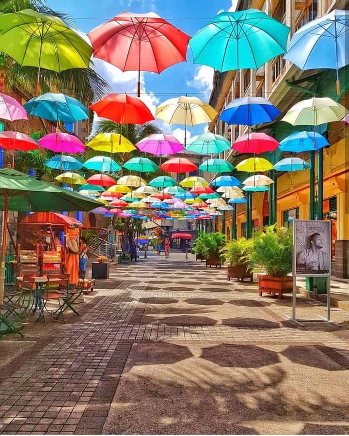 Mauritius North: Private Paradise Tour with Gardens, Markets - Port Louis: Central Market Energy and the Harbor-View Payoff