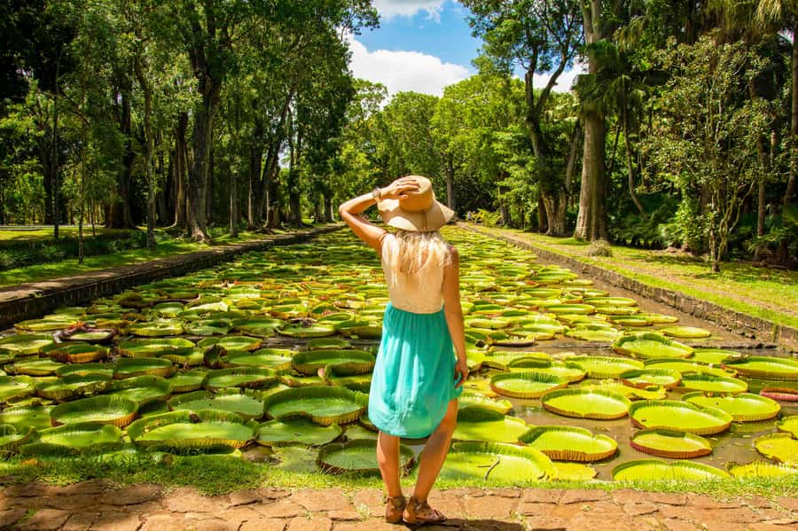 Mauritius: Private Full-Day Iconic Instagram Spots - Key things to know before you go