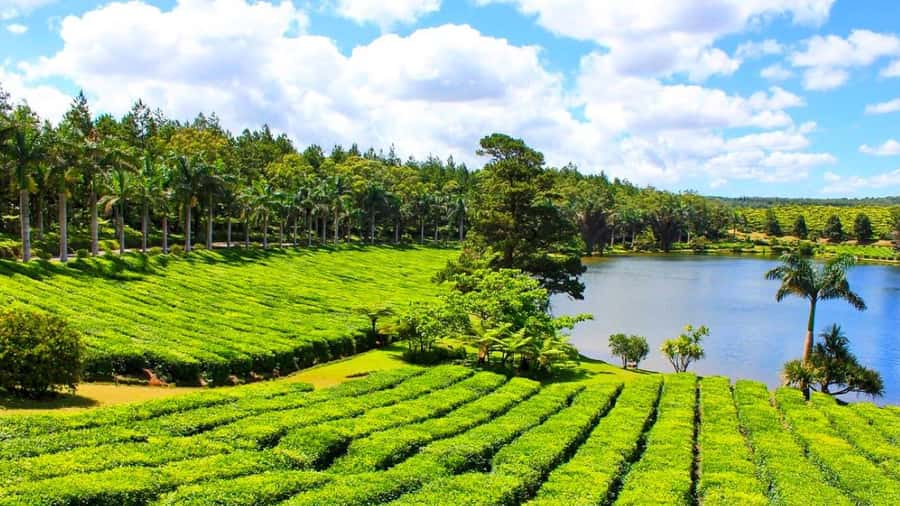 Mauritius: Private Full-Day South Mauritius Tour - Grand Bassin (Ganga Talao): Temples, Statues, and Sacred Atmosphere