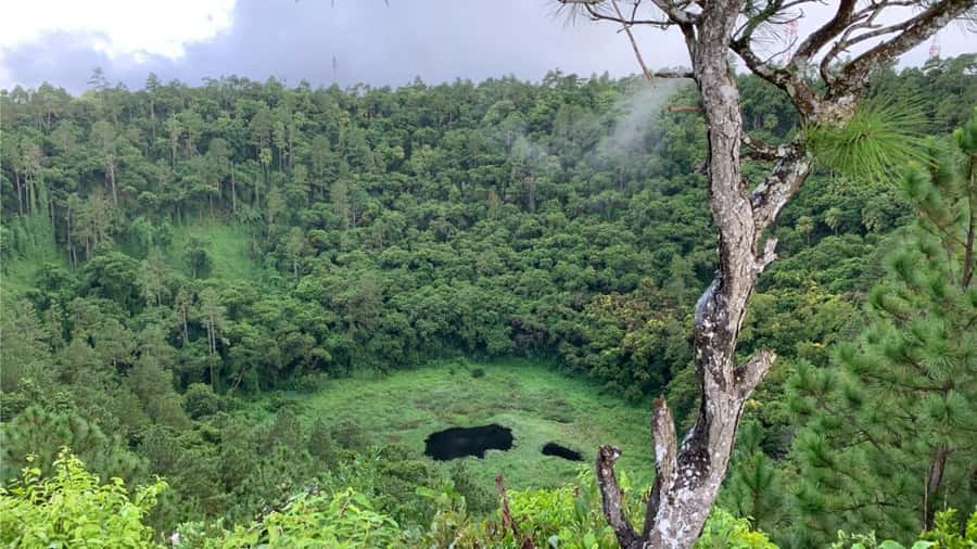Mauritius: Private Full-Day South Mauritius Tour - Black River Gorges National Park and Alexandra Falls