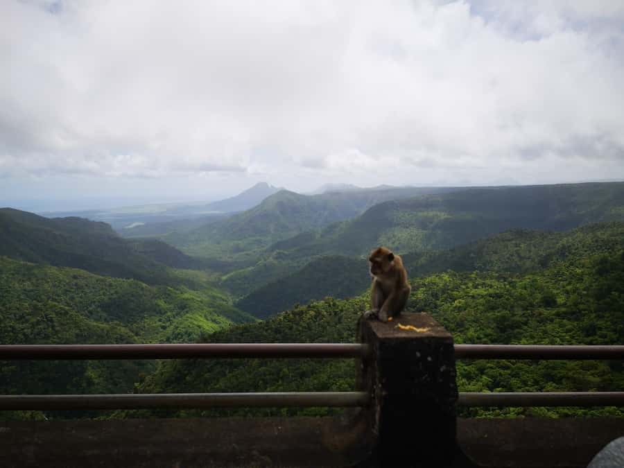 Mauritius: Private South Tour with Pickup - A tight, private south-coast route that makes sense