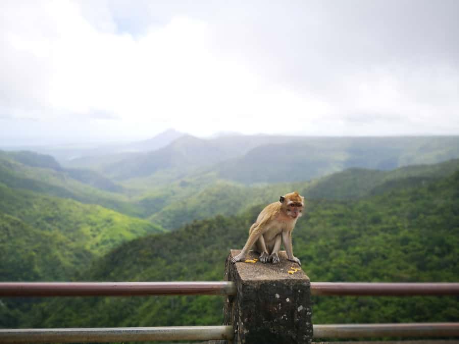 Mauritius: Private South Tour with Pickup - Your guide and why people keep bringing up their personalities