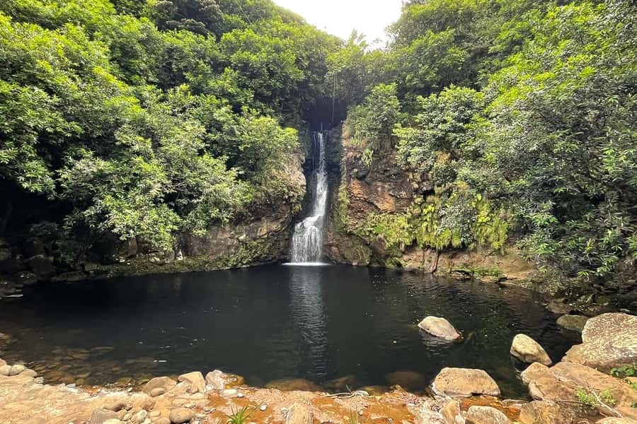 Mauritius: Private South-West Nature & Viewpoints with Lunch - Lunch at a local Mauritian restaurant: what’s included (and what that means)