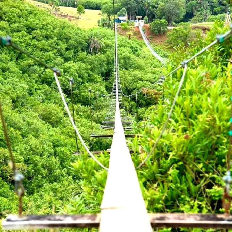 Mauritius: Private Southwest Day Tour - A Private Southwest Route With Big Variety in One Day
