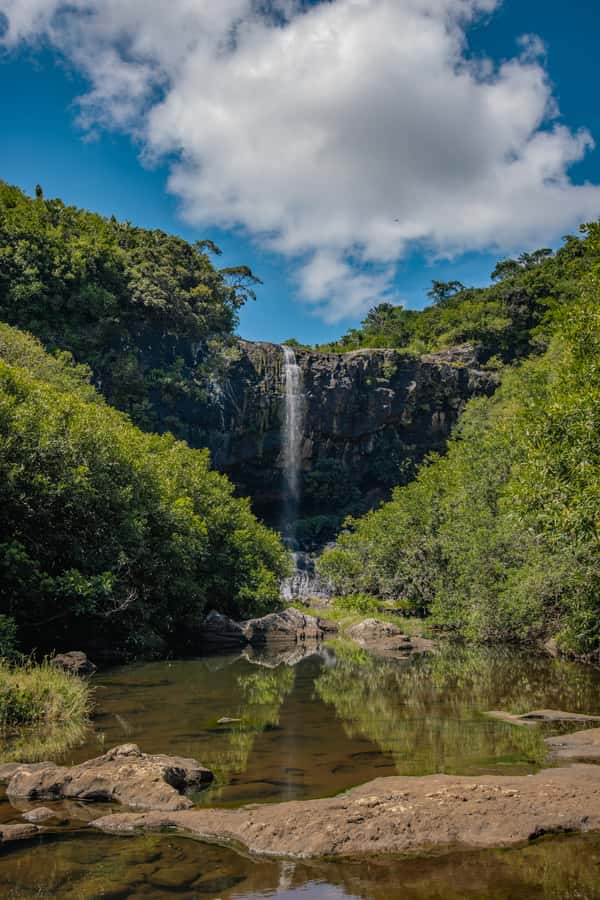 Mauritius: Tamarind Falls Highlights 3-Hour Hiking Trip - Henrietta Bus Station start: how the hike gets shaped fast