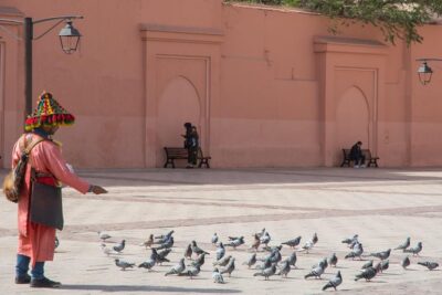 Medina of Marrakech Walking Tour - Pickup, Private Transport, and the 4-Hour Reality Check