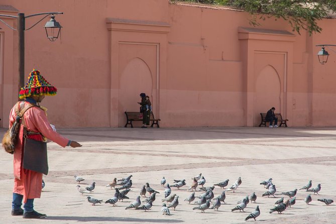 Medina of Marrakech Walking Tour - Pickup, Private Transport, and the 4-Hour Reality Check