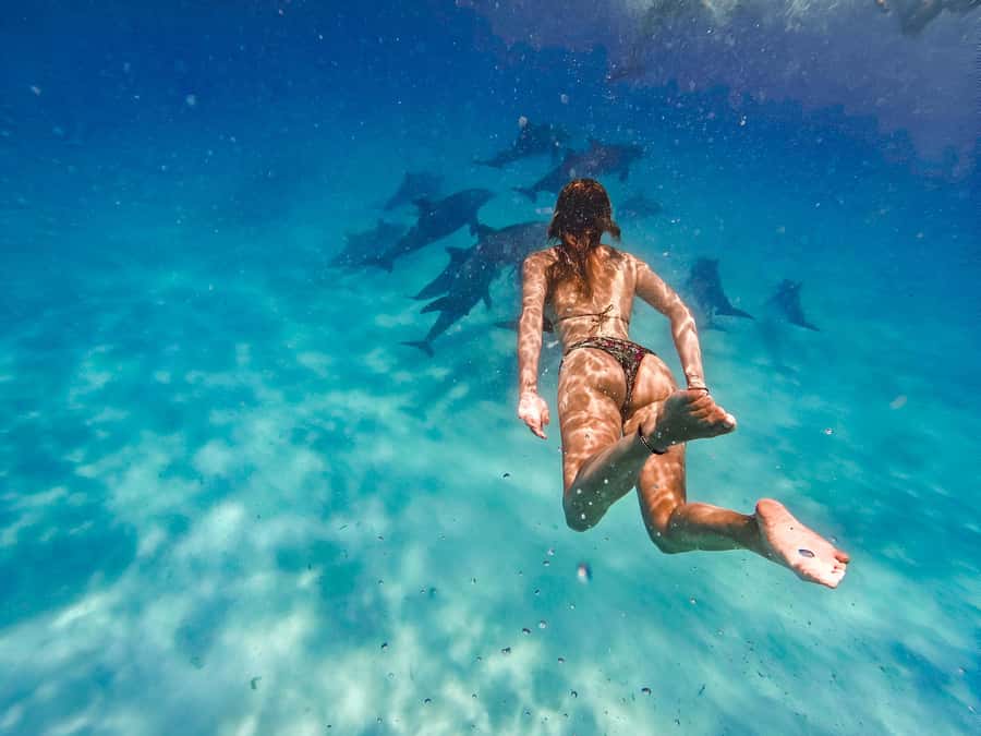 Mnemba Island: Dolphin Swim & Snorkeling with Optional Lunch - Snorkeling in Mnemba Atoll Marine Park (Where You See the Reef)