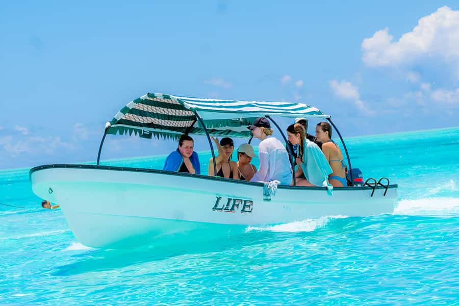 Mnemba Island: Dolphin Swim & Snorkeling with Optional Lunch - Beach Time, Fruit, and Optional Lunch With Wine