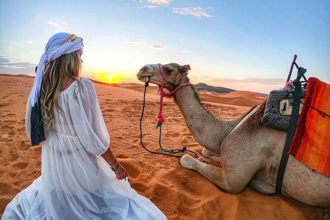 Morning Desert Safari with Quad Bike, Camel Ride & Sandboarding - What happens when you reach the Lahbab dunes