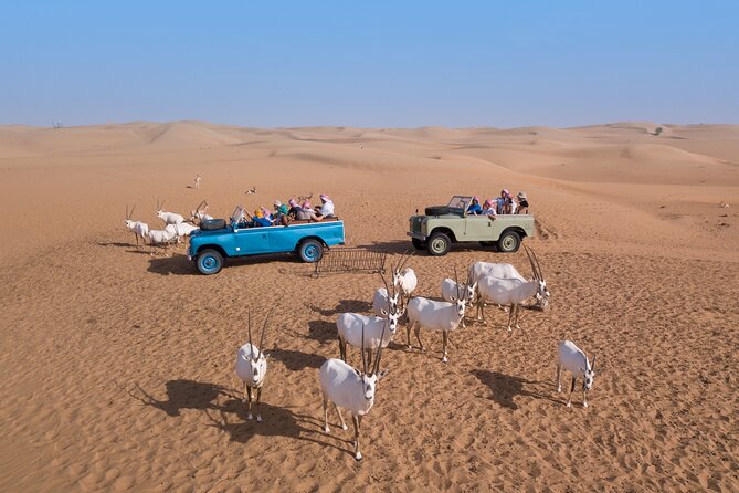 Morning Falconry & Nature Desert Safari with Transfers from Dubai - Wildlife Drive in the Dubai Desert Conservation Reserve (In a 1950s Land Rover)