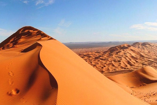 Morning Red Dunes Safari: Camel Ride & Sandboarding Adventure - Why a Morning Red Dunes Safari Works So Well