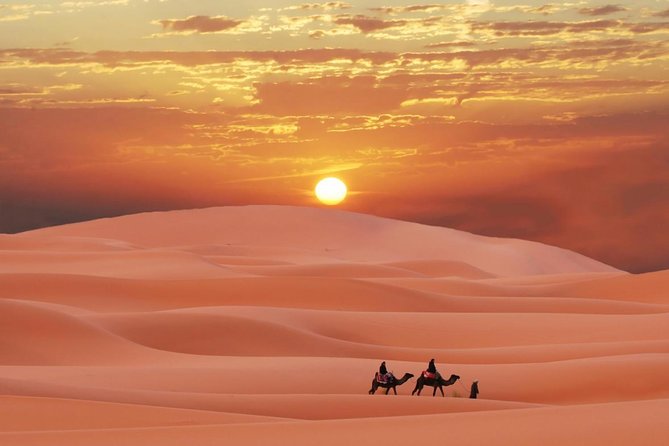 Morning Red Dunes Safari: Camel Ride & Sandboarding Adventure - Sandboarding on the Red Dunes: Your Chance to Actually Play