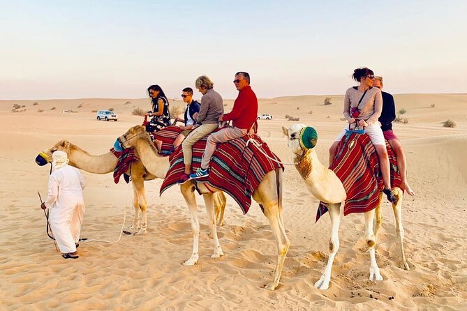 Morning Red Dunes Safari: Camel Ride & Sandboarding Adventure - What to Wear and Bring for a Comfortable Morning