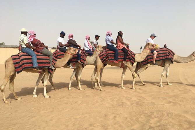 Morning Red Dunes with Camel Ride, Sandboarding and Refreshments - Why This 7:00am Red Dunes Safari Feels Different