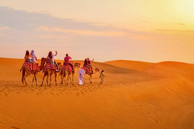 Morning Thrill: Exciting Desert Safari Adventure Camel Ride Dubai - Price and Value: What $59 Buys (and What It Doesn’t)