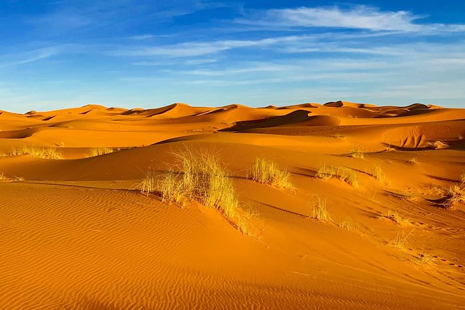 Moroccan Desert 3-Day Luxury Tour from Marrakech - Todra Gorges to Erg Chebbi: The Camel Trek That Makes It Real