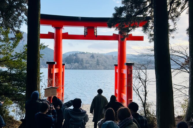 Mt. Fuji, Cherry Blossom & Shiba Sakura Pvt. Day Tour - Private Fuji rides: why this beats Tokyo trains