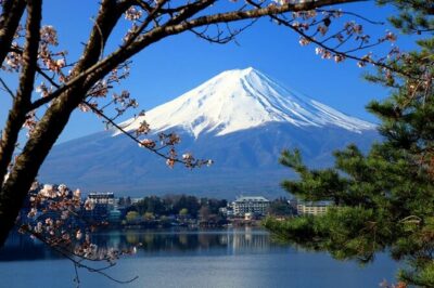 Mt. Fuji, Cherry Blossom & Shiba Sakura Pvt. Day Tour - Meeting at Tokyo Station and planning your 10-hour flow