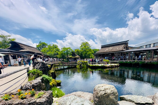 Mt. Fuji, Cherry Blossom & Shiba Sakura Pvt. Day Tour - Lake Kawaguchiko and Oishi Park: ropeway views, cruises, and flower seasons