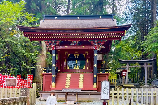 Mt. Fuji, Cherry Blossom & Shiba Sakura Pvt. Day Tour - Guide quality and flexibility: the difference between a ride and a tour
