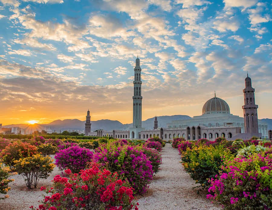 Muscat: Budget Friendly City Tour - Morning vs Evening Options: What Changes in Real Life