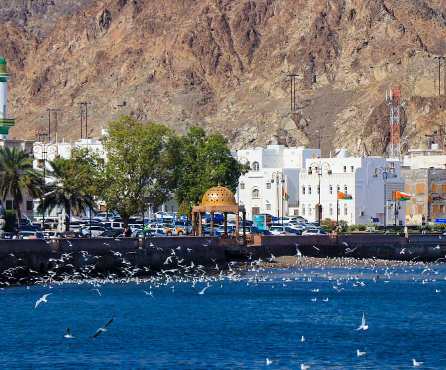 Muscat: Budget Friendly City Tour - What the Guide Really Adds (Beyond Facts)