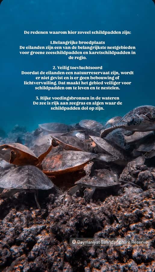 Muscat: Daymaniat Islands Snorkeling Tour with Refreshments - Daymaniyat Islands: a turtle-and-birds reserve, not a party beach