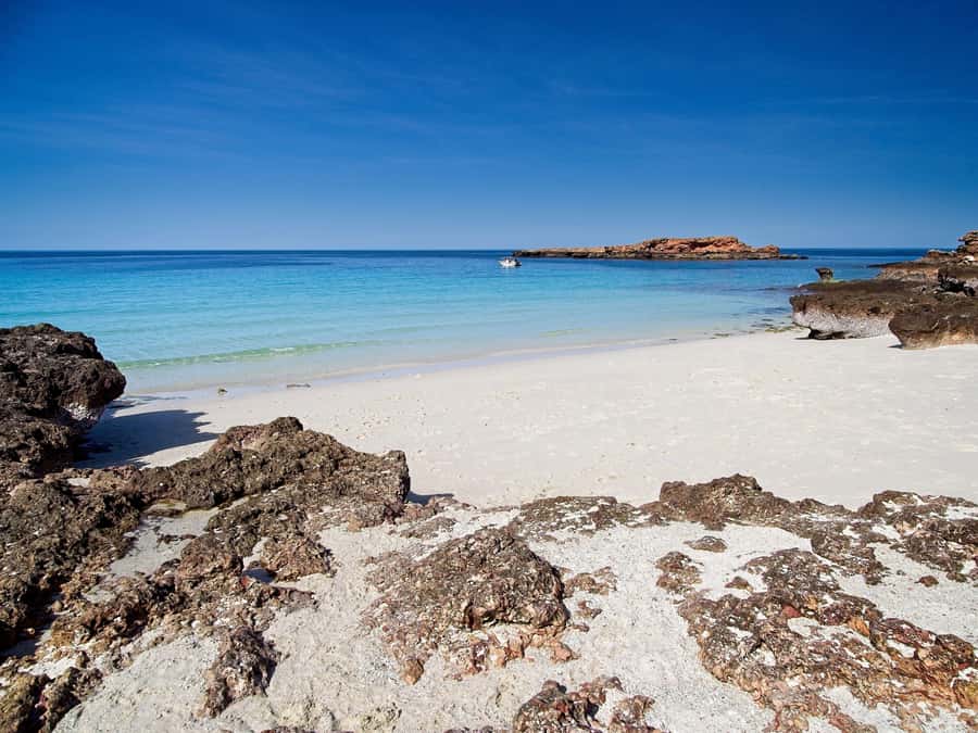 Muscat: Daymaniat Islands Snorkeling Tour with Refreshments - Food, snacks, and the comfort details you’ll notice