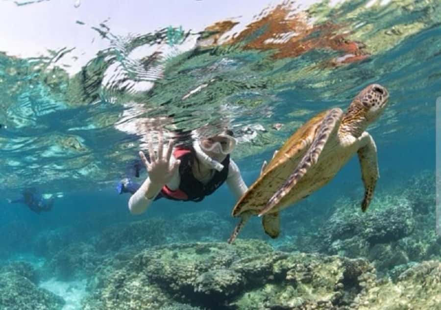 Muscat: Daymaniyat Islands Snorkeling Trip with BBQ Lunch - Daymaniyat Islands: why this snorkel trip feels special