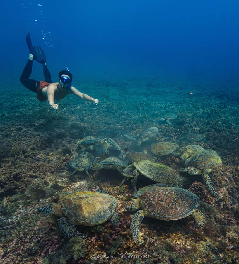 Muscat: Daymaniyat Islands Snorkeling Trip with BBQ Lunch - Snorkel session one: turtles first, then the reef