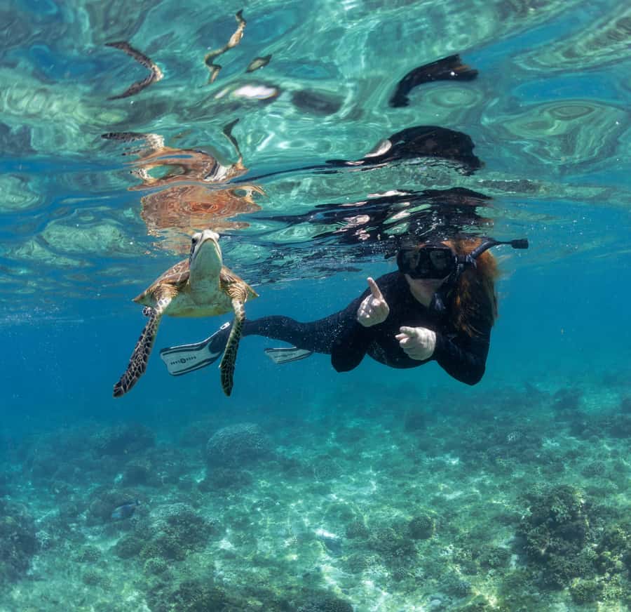 Muscat: Daymaniyat Islands Snorkeling Trip with BBQ Lunch - Snorkel session two: another site, another mood