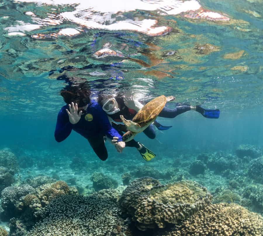 Muscat: Daymaniyat Islands Snorkeling Trip with BBQ Lunch - What you’ll likely see: marine life patterns at Daymaniyat
