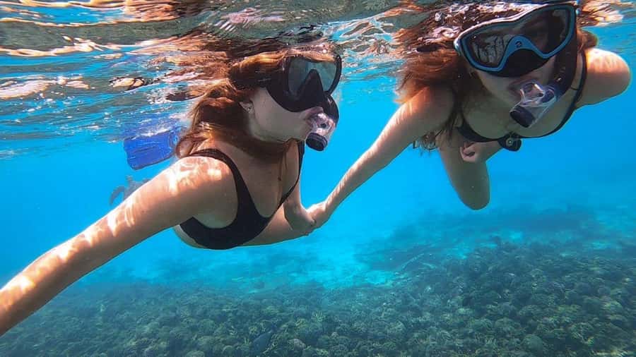 Muscat: Dolphin Watch & Snorkel Excursion - Swimming Comfort, First-Time Snorkel Help, and Life Jackets