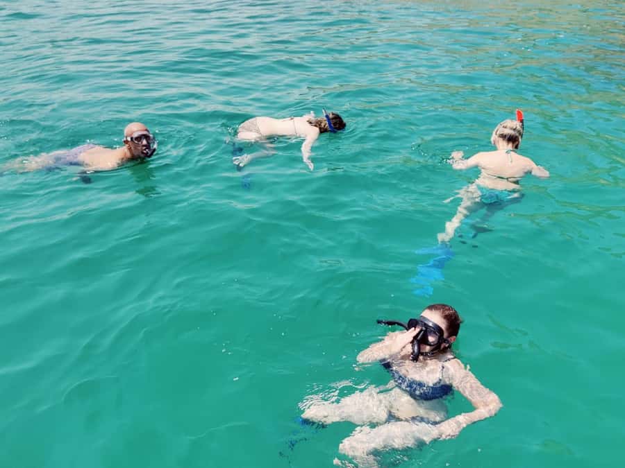 Muscat: Dolphin Watch & Snorkel Excursion - Logistics That Actually Affect Your Day