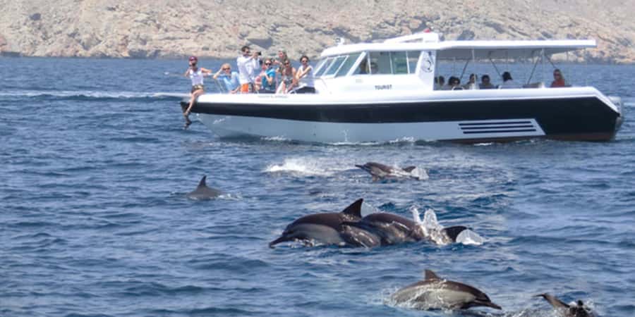 Muscat: Dolphin Watching Boat Tour - The 2-hour cruise: how the dolphin search usually unfolds