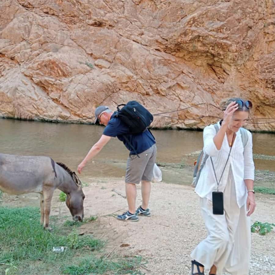 Muscat: Southern Treasures & Wadi Shab Tour with Audio Guide - GPS audio guidance: learning Oman while you ride