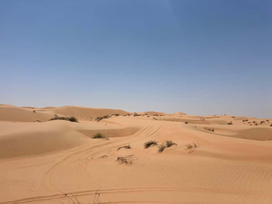 Muscat: Wahiba Sands, Wadi Bani Khalid & Mudayrib Tour - Price and What You’re Getting for $98