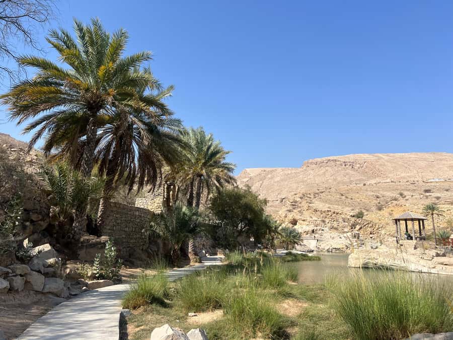 Muscat: Wahiba Sands, Wadi Bani Khalid & Mudayrib Tour - Guide Quality and Day Pace: What to Expect from Names Like Mohammed, Younis, and Jamal