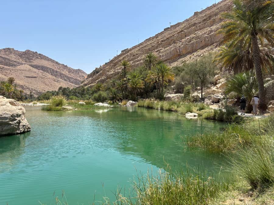Muscat: Wahiba Sands, Wadi Bani Khalid & Mudayrib Tour - Who Should Book This Tour (and Who Should Skip It)